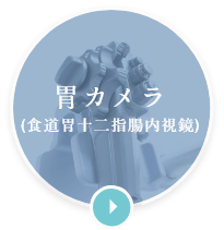 胃カメラ(食道胃十二指腸内視鏡)