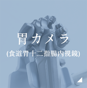 胃カメラ(食道胃十二指腸内視鏡)