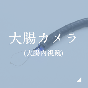 大腸カメラ(大腸内視鏡)