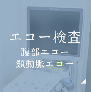 エコー検査 腹部エコー 頸動脈エコー